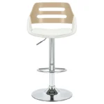 ΣΚΑΜΠΟ ΠΤΥΣΣΟΜΕΝΟ FERN