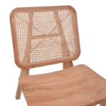 Πολυθρόνα Viborg φυσικό teak ξύλο-φυσικό rattan 60x75x87εκ - Image 9